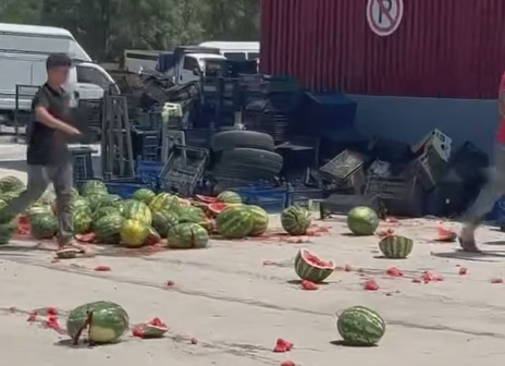Ellerinde kalan karpuzları parçalayan üreticilere şok ceza