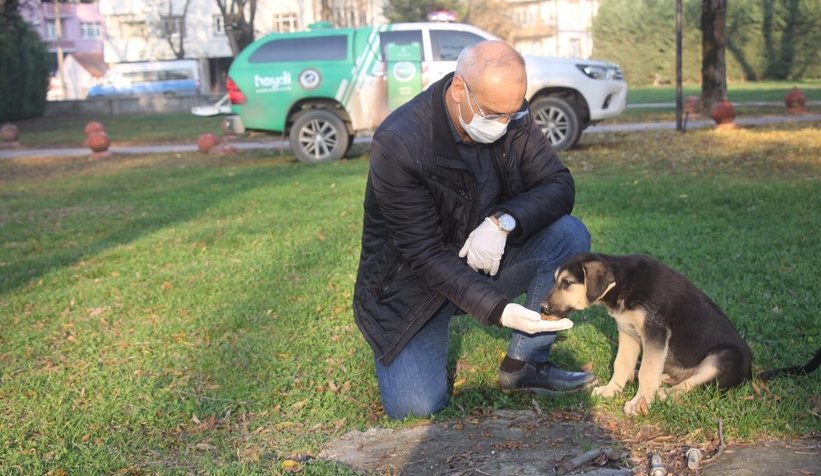 Emniyet Müdürü, sokak hayvanlarını elleriyle besledi
