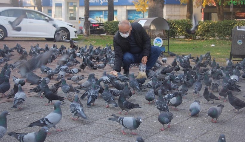 Emniyet Müdürü, sokak hayvanlarını elleriyle besledi