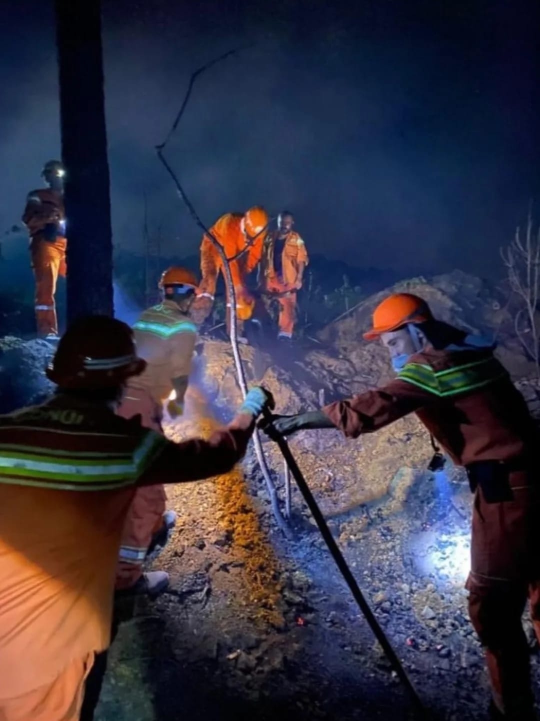 Erenler'de orman yangını