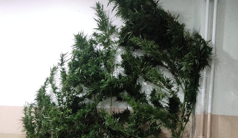 Erenler'de uyuşturucu operasyonu