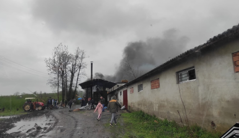 Eski tavuk çiftliğinde yangın paniği