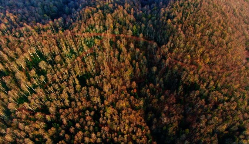 Eşsiz sonbahar manzarası