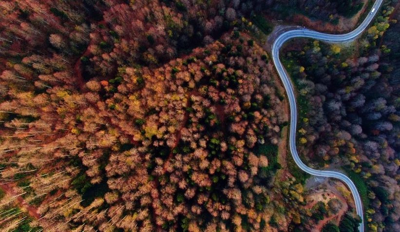 Eşsiz sonbahar manzarası