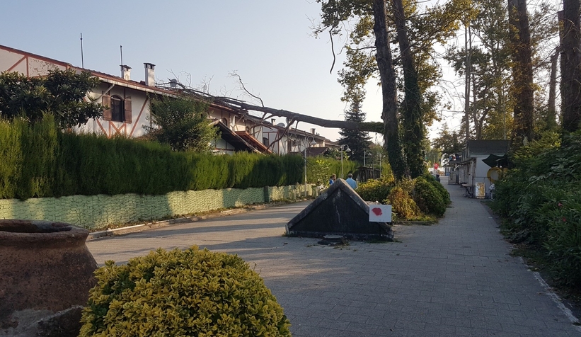 ev-sahibi-deprem-oluyor-sandivk40mfpqwh