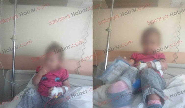 Eve giren yılan 18 aylık çocuğu ısırdı