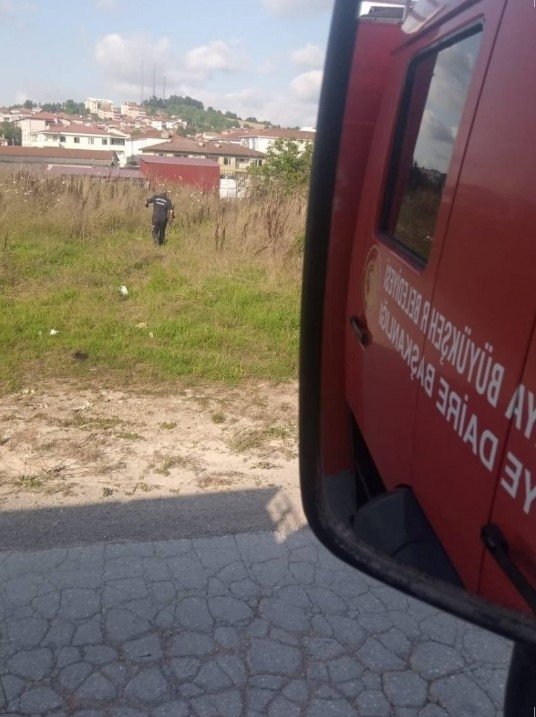 Eve giren yılanı eliyle çıkaran itfaiye