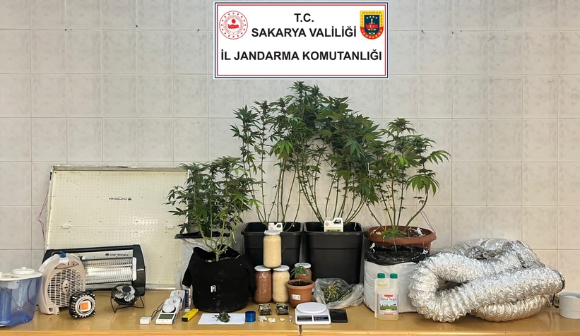 Evi esrar bahçesine çevirmiş