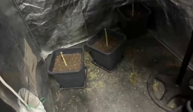 Evi uyuşturucu imalathanesine çevirmiş