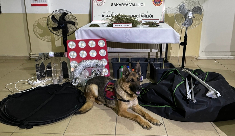 Evi uyuşturucu imalathanesine çevirmiş