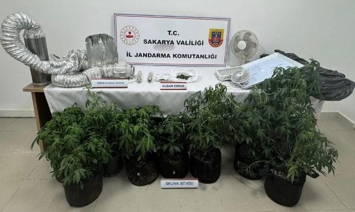 Evi uyuşturucu serasına çevirmiş