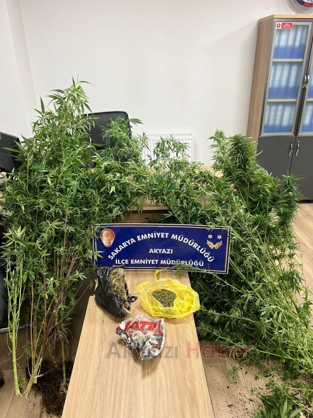 Evinde uyuşturucu yetiştiren zehir taciri yakalandı