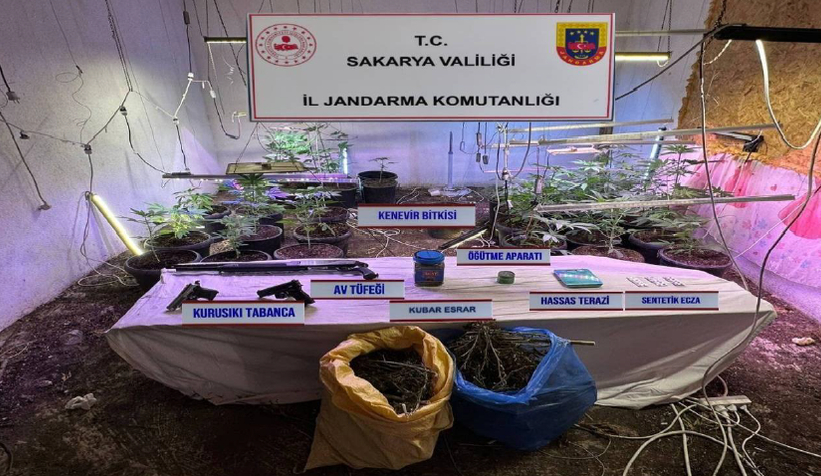 Evine iklimlendirme sistemi kurup kenevir yetiştirmiş