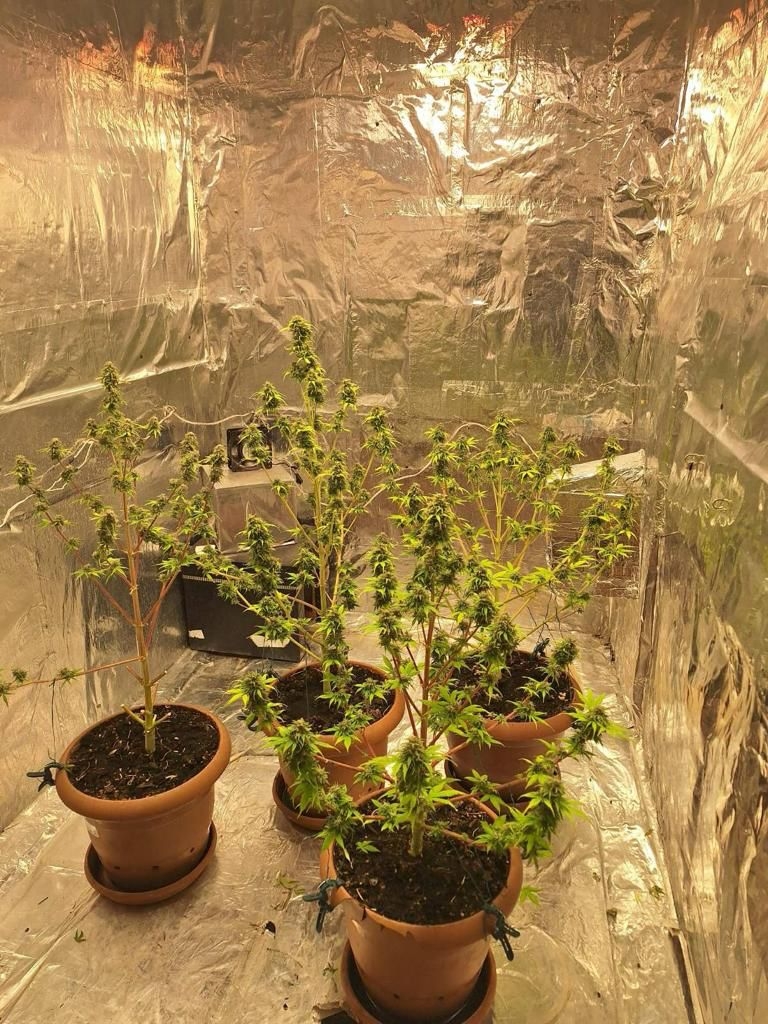 Evine kurduğu düzenekle uyuşturucu imal ediyordu, yakalandı