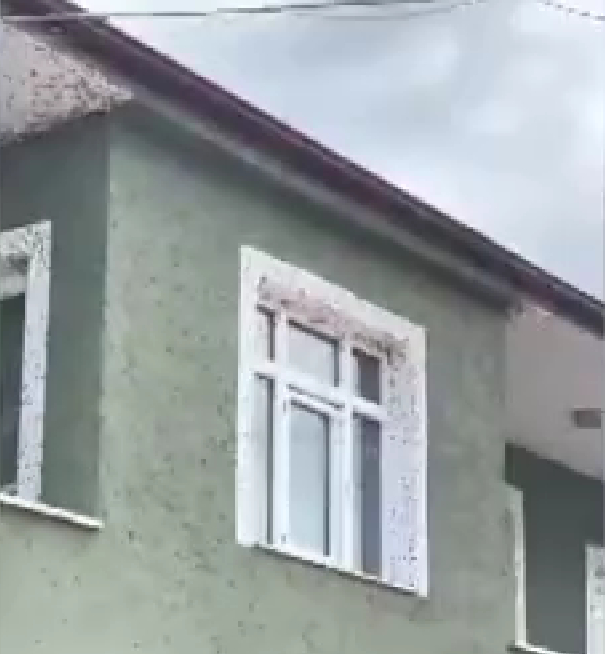 evleri-binalari-istila-ettiler-sokaga-cikmakta-zorlaniyorlartw1qvm9use