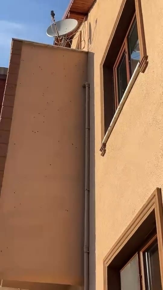 evleri-istila-ettiler-kahverengi-kokarcalar-evleri-sardirzzxk2tnel