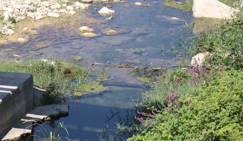 Fabrika atıklarına karşı Batakköy’de protesto