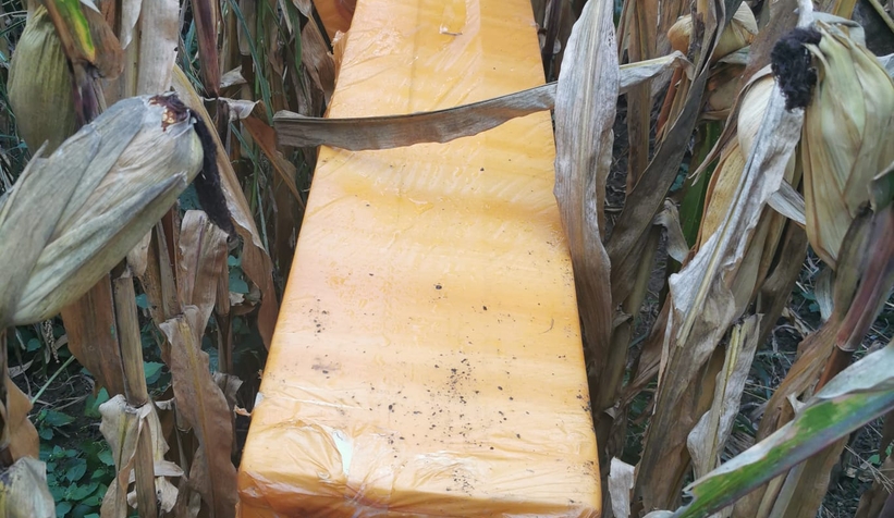 Fabrikadan çalınan malzemeler mısırlıktan çıktı