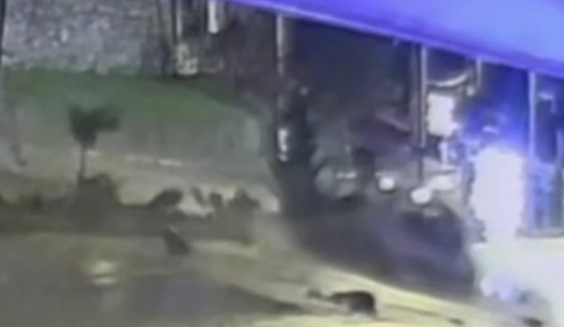 feci-kaza-kameradadgj6vnzytn