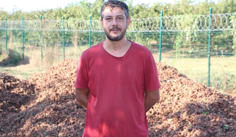 File örtüyle yapılan fındık hasadında maliyet düştü