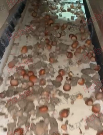 findik-diye-tas-satiyorlardi-bakin-ne-yaptiqkvcbjm2c3