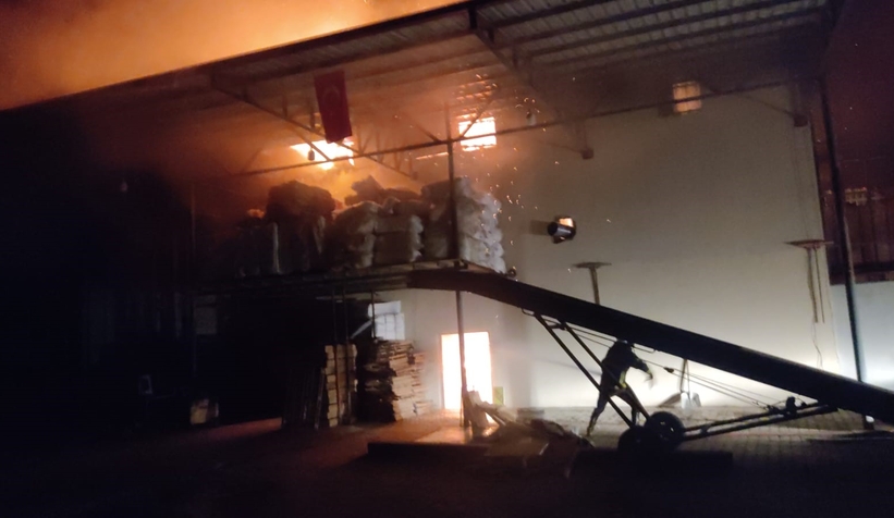 Fındık fabrikası alevlere teslim oldu