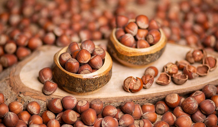 Fındık fiyatlarında son durum