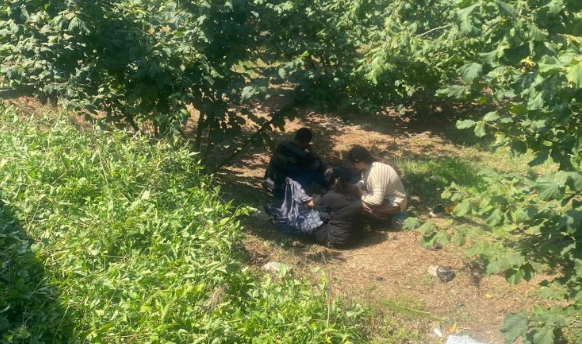 Fındık işçilerinin kazasında can pazarı