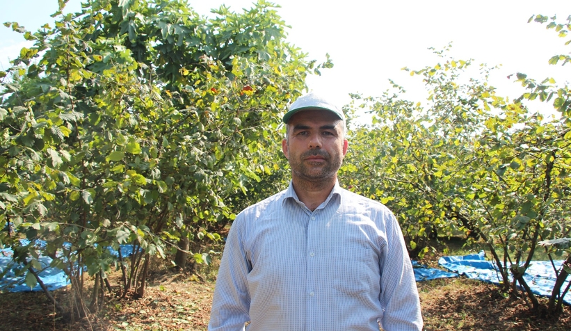 Fındık işçilerinin zorlu mesaisi