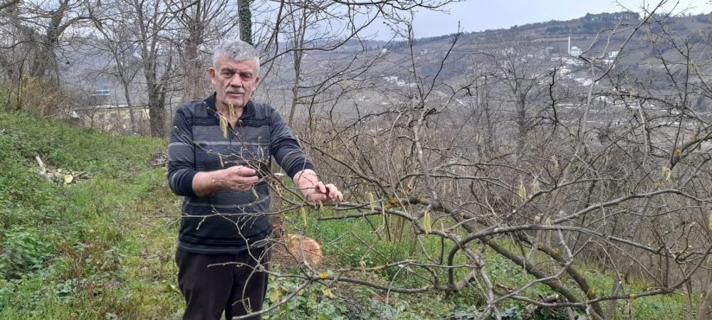 findik-ureticisi-dort-gozle-kar-yagisi-bekliyorzzuzczvivw