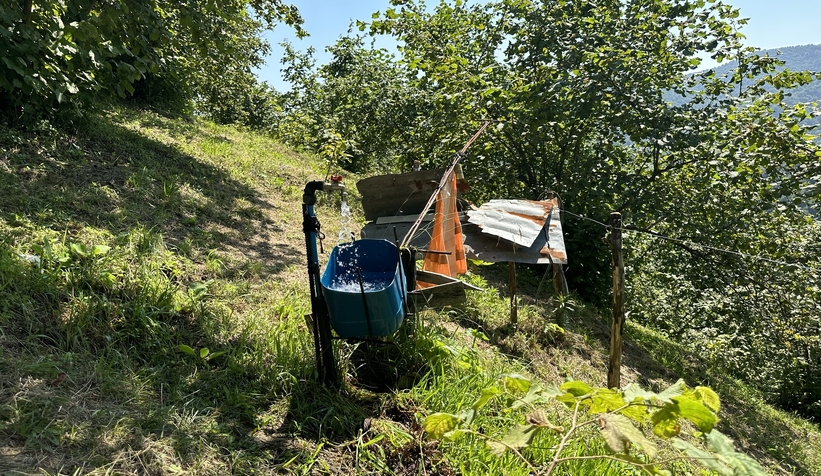 Fındıklığını yaban hayvanlarından korumak için düzenek yaptı
