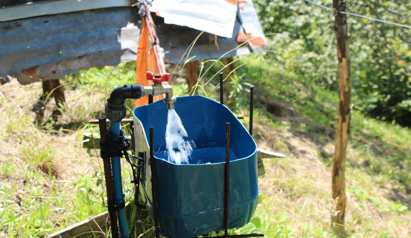 Fındıklığını yaban hayvanlarından korumak için düzenek yaptı