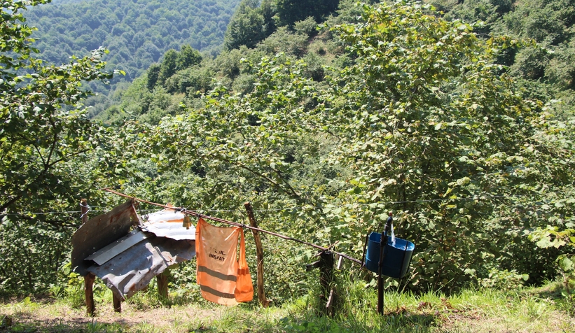 Fındıklığını yaban hayvanlarından korumak için düzenek yaptı