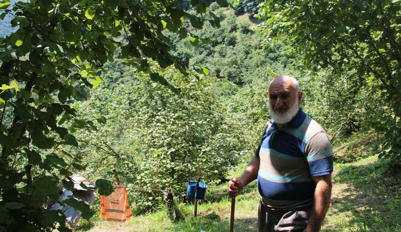 Fındıklığını yaban hayvanlarından korumak için düzenek yaptı