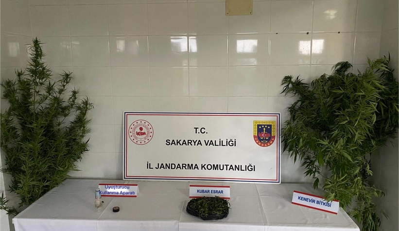 findikliklarinda-kenevir-yetisririrken-yakalandilarbzvey0diee