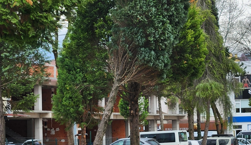 firtina-parktaki-agaci-yiktis0vlnenhak