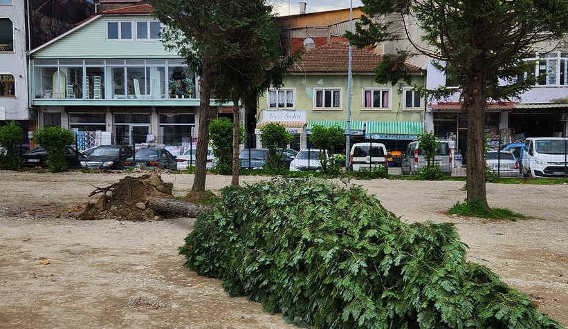 firtina-parktaki-agaci-yiktis0vlnenhak