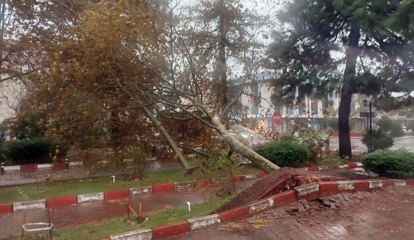 firtina-sakarya-yi-vurduelfttvrasd