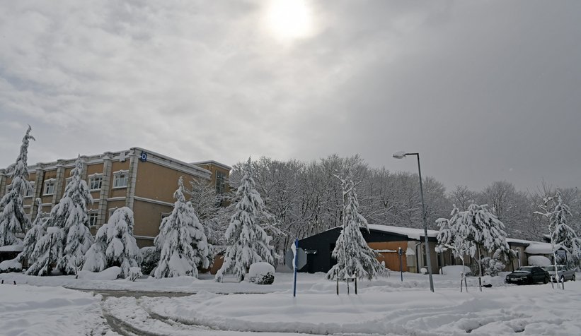 Fotoğraflar SAÜ kampüsünden