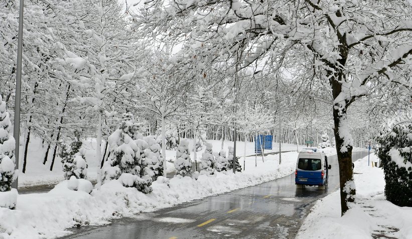 Fotoğraflar SAÜ kampüsünden