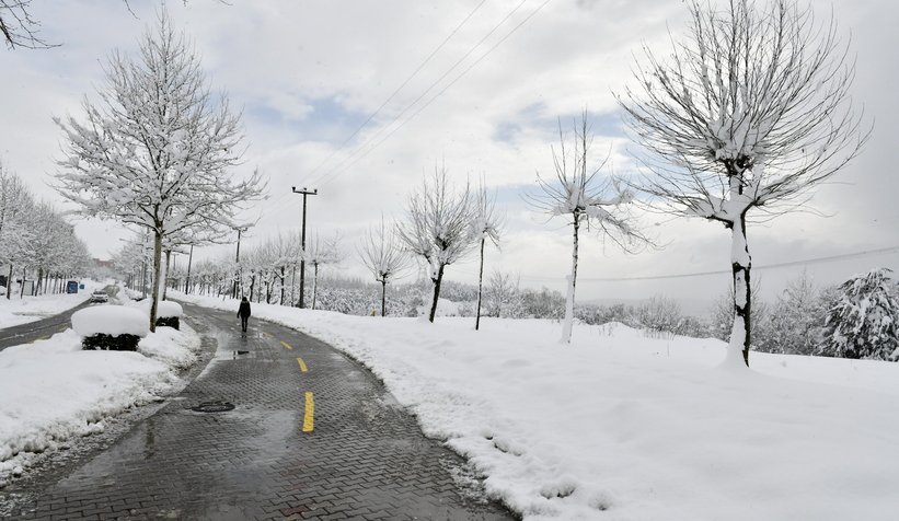Fotoğraflar SAÜ kampüsünden