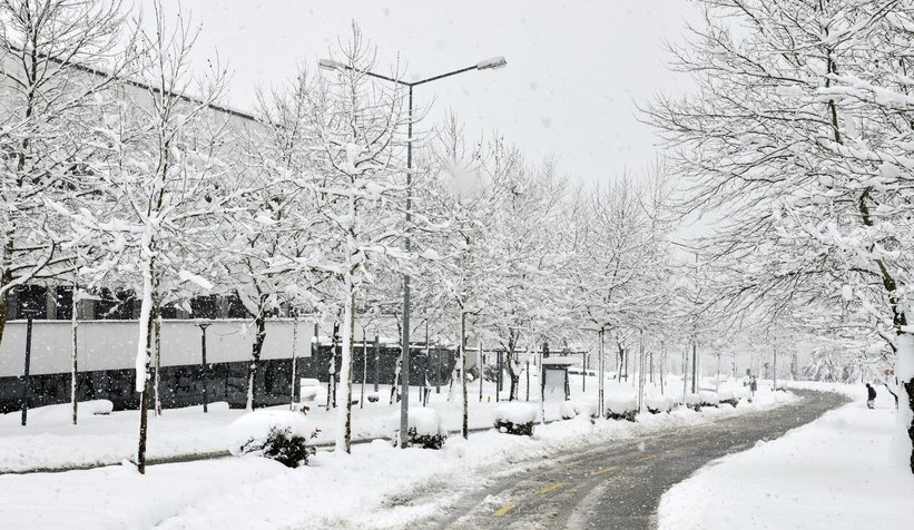 Fotoğraflar SAÜ kampüsünden