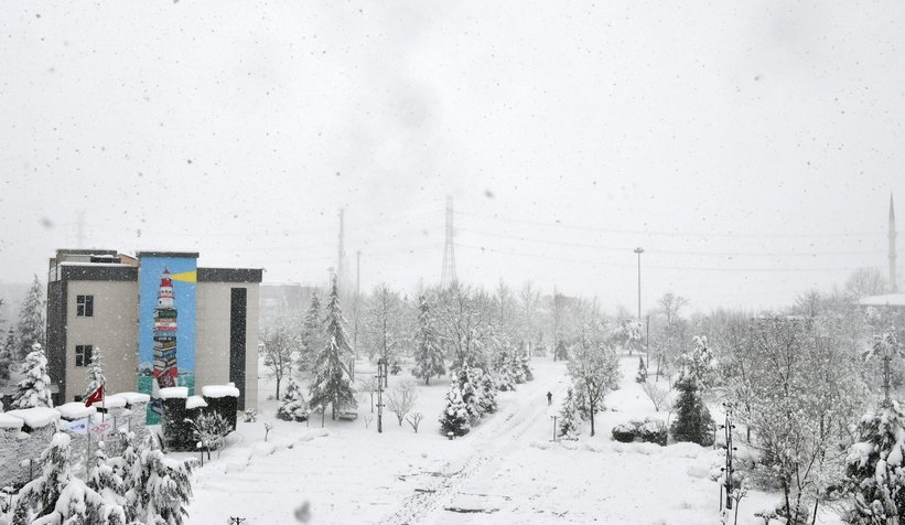 Fotoğraflar SAÜ kampüsünden