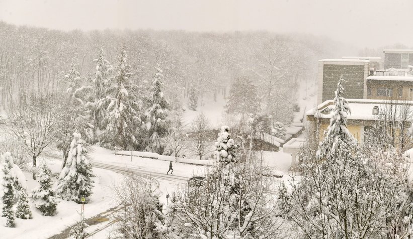 Fotoğraflar SAÜ kampüsünden