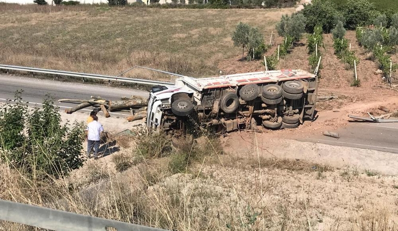 Freni boşalan tomruk yüklü kamyon devrildi