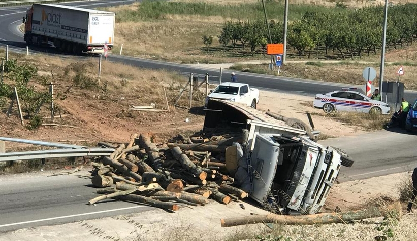 Freni boşalan tomruk yüklü kamyon devrildi
