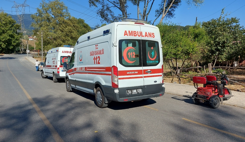 Freni tutmayıp devrildi: 2 yaralı