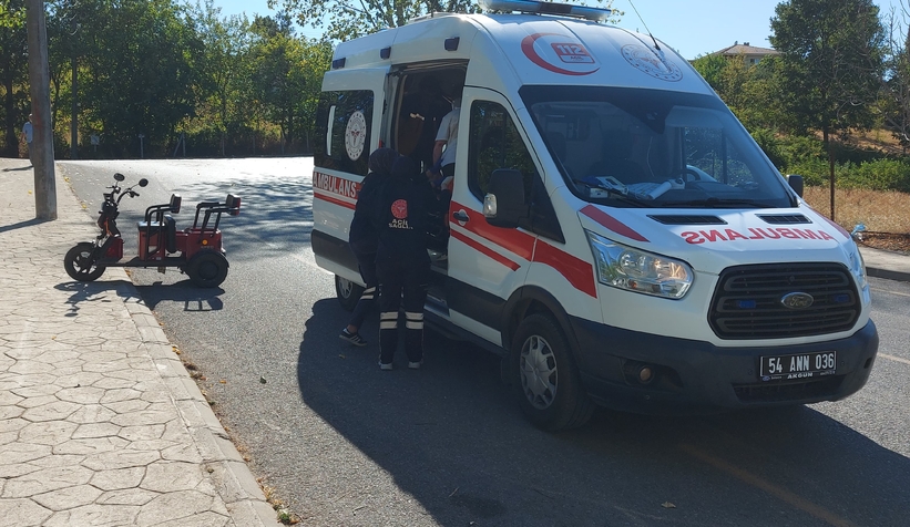 Freni tutmayıp devrildi: 2 yaralı