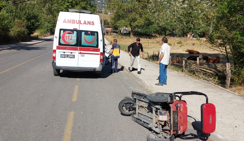 Freni tutmayıp devrildi: 2 yaralı