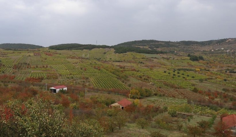 gecimlerini-uzumden-saglayan-mahallenin-yarisini-dolandirdiz3kvry9fbe